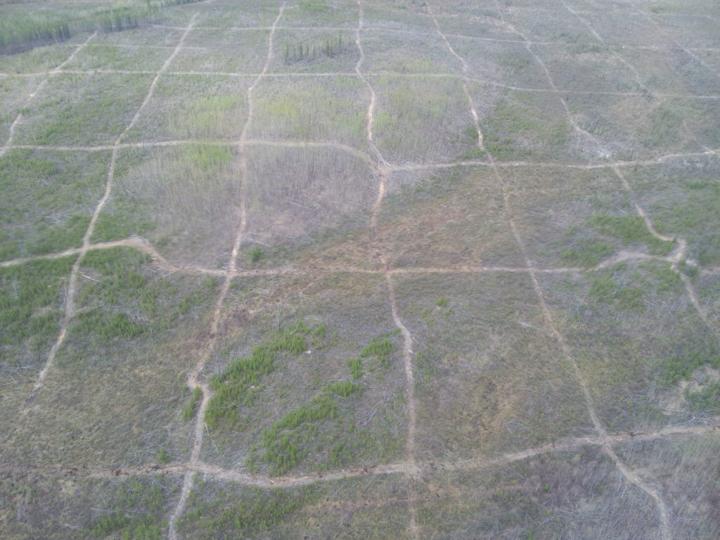 Aerial view of a clearly visible grid of linear features from a geophysical survey crossing the landscape