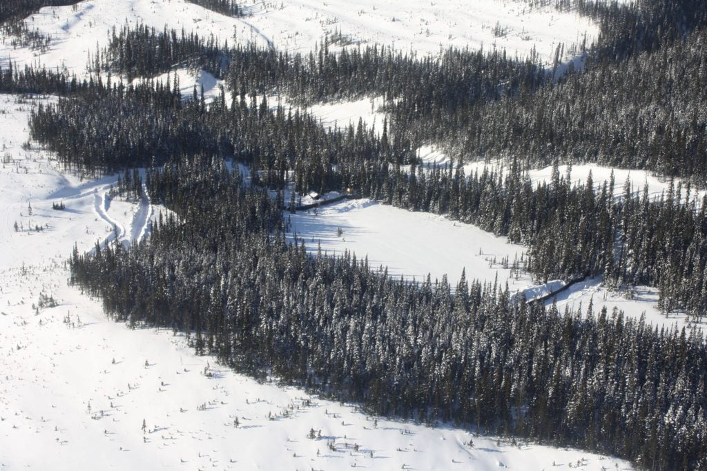 Aerial view of the pen showing some of the opaque fencing used to shield caribou from predators