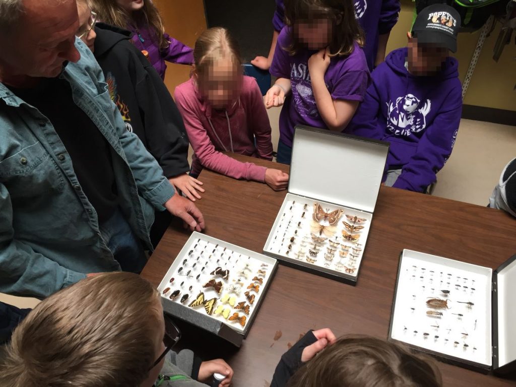 Local entomologist showing his collection