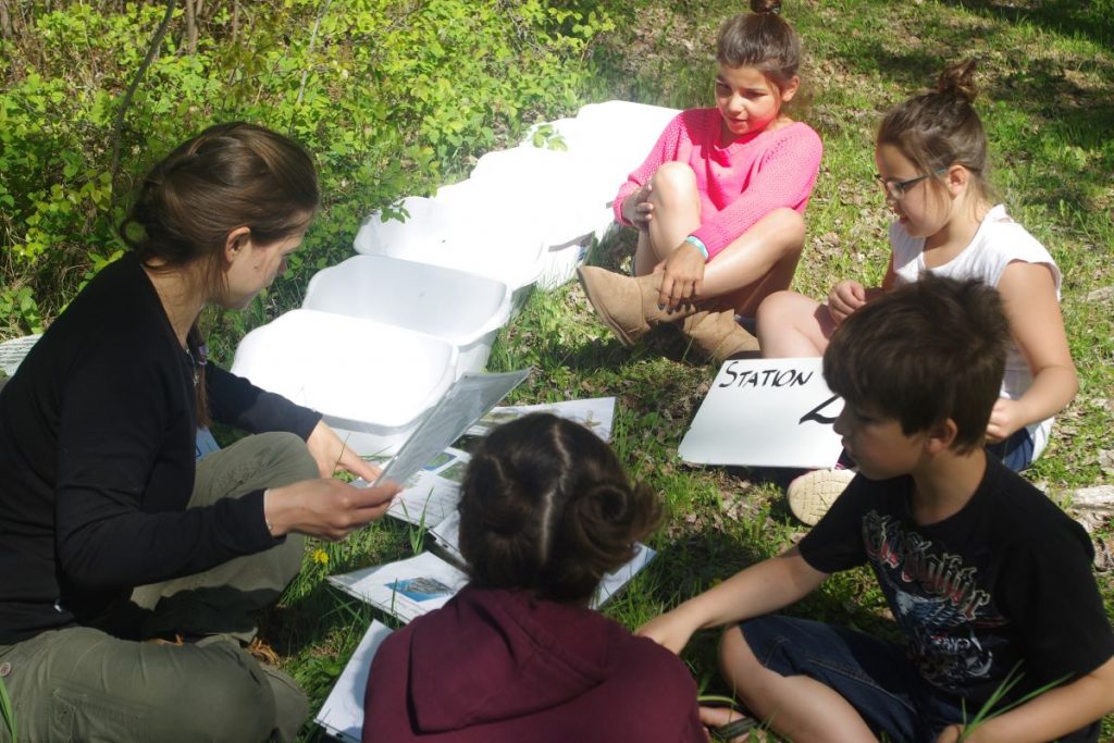 Students sorting plants by taxonomic group