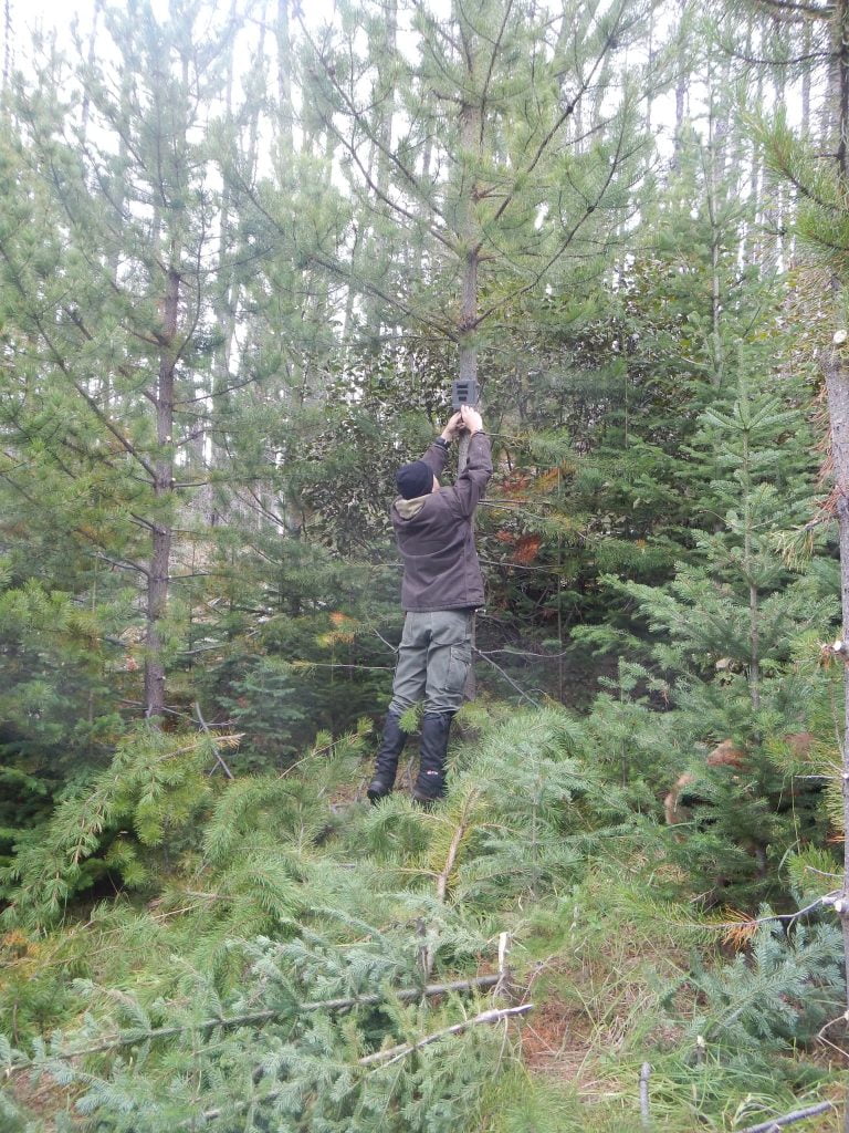 A crew member installing a trail camera at a restored site
